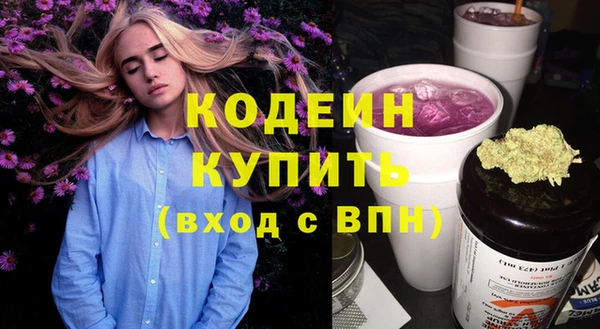 индика Козельск