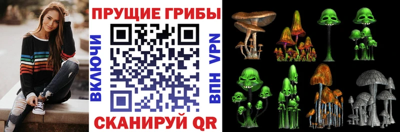 продажа наркотиков mega как зайти Галлюциногенные грибы прущие грибы Шарья